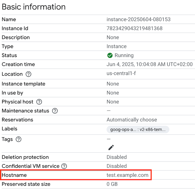 Halaman instance VM yang menampilkan nama host. 
