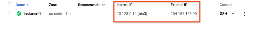 顯示內部和外部 IP 的 VM 執行個體頁面。