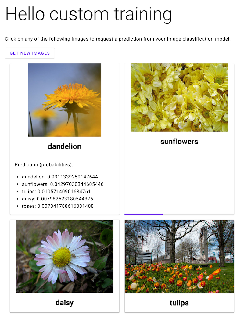 App web con quattro immagini etichettate di fiori. Una ha le probabilità delle
      etichette previste sotto. Un altro ha una barra di caricamento sotto.