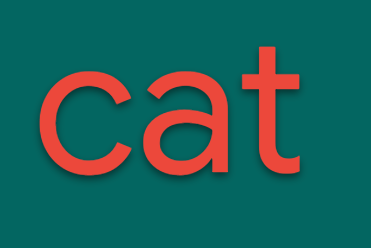 A palavra "gato" aparece em negrito.