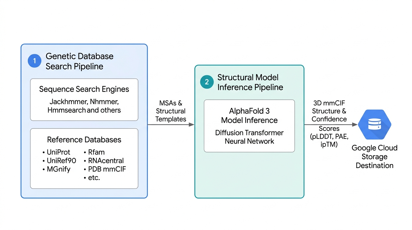 Un diagramma di flusso della pipeline AlphaFold 3. La fase 1 (pipeline di ricerca nel database genetico) utilizza motori di ricerca come Jackhmmer e database come UniProt per generare MSA e modelli strutturali. La fase 2 (pipeline di inferenza del modello strutturale) elabora questi input utilizzando la rete neurale Transformer di diffusione di AlphaFold 3. Le strutture mmCIF 3D e i punteggi di confidenza (pLDDT, PAE, ipTM) risultanti vengono salvati in
Cloud Storage.