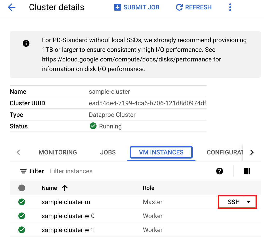Die Detailseite des Clusters mit dem Tab „VM-Instanzen“